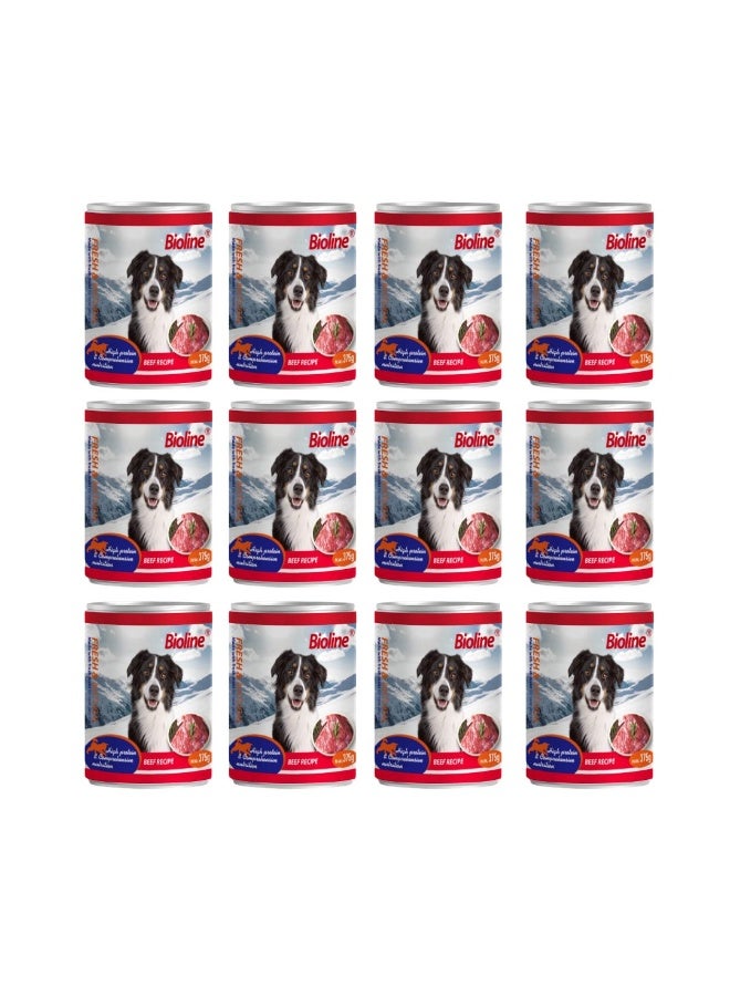 بايولاين طعام الكلاب الرطب المعلب من بيولاين بنكهة لحم البقر - ٣٧٥ غرام (عبوة من ١٢ قطعة) - Image 1