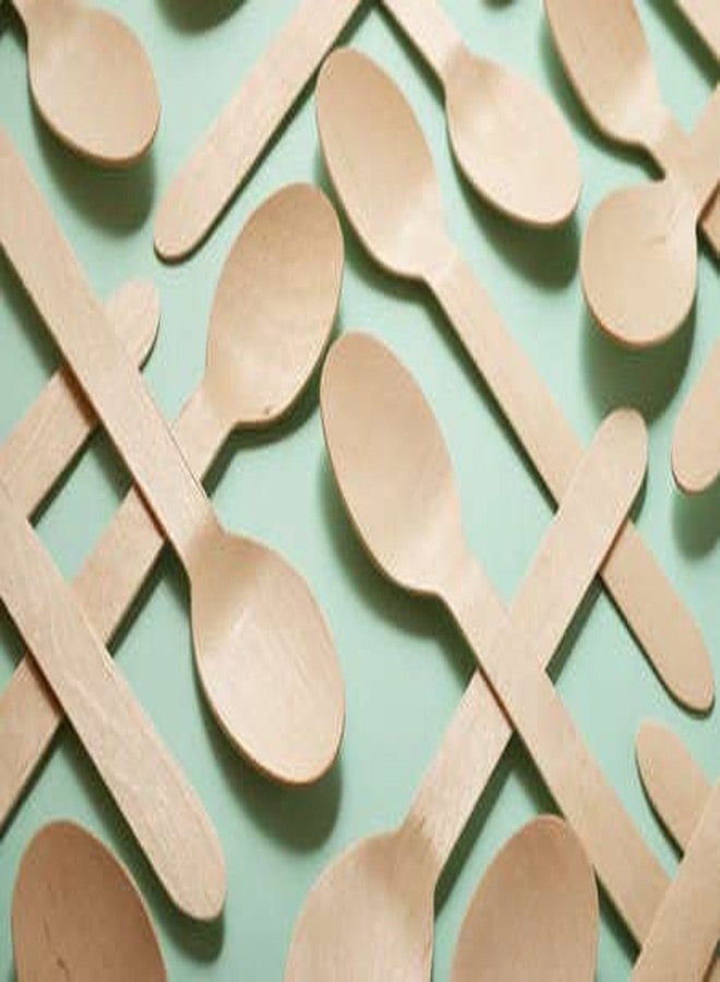 KingSeal Disposable Birch Wood Cutlery Spoons, Biodegradable and Earth Friendly, 6.25 Inch Length - 1 Pack of 100 pcs - Image 5