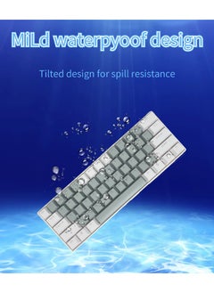 61 Keys RGB Gaming Keyboard 60% Mini Wired Waterproof With Anti-ghosting Keyboard and Two-color Keycaps With Red Switch for Gamers(Light gray and white) - pzsku/Z712D86349B172B8C35C7Z/45/_/1711503405/c430aa80-ad68-44a8-801b-56f10474ea6e