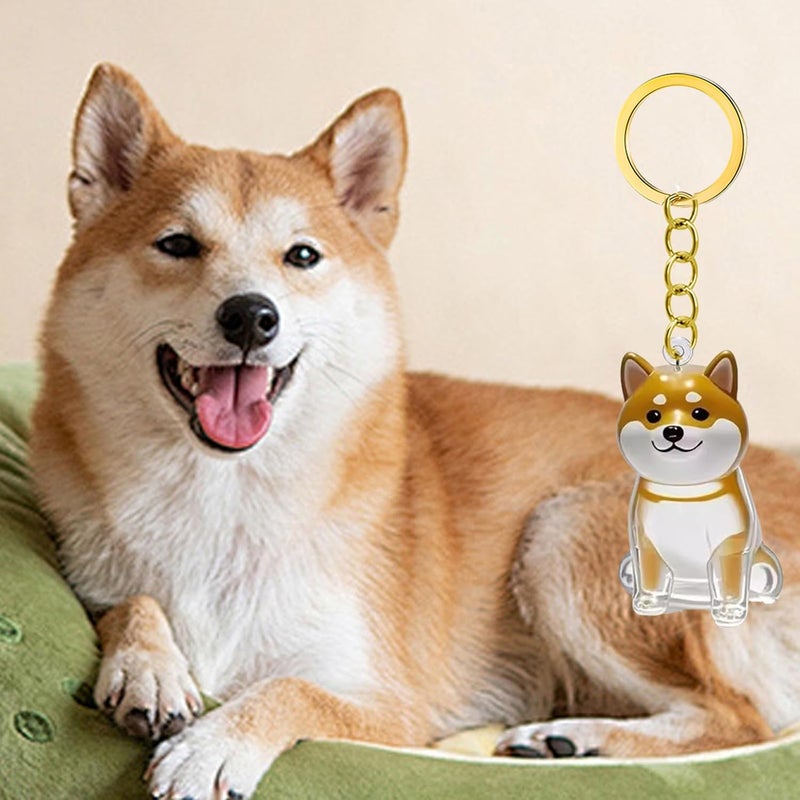 2 2/3 / 4/5 / 10Pcs Pet Keychain Built-in Hair Storage Case Memorial Charm for Grieving Dog Owners Clear Pet Hair Memorial Storage Pendants - Image 3