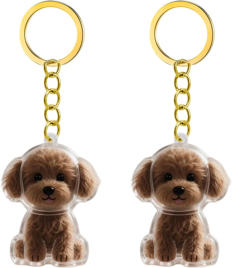 2 2/3 / 4/5 / 10Pcs Pet Keychain Built-in Hair Storage Case Memorial Charm for Grieving Dog Owners Clear Pet Hair Memorial Storage Pendants - Image 1
