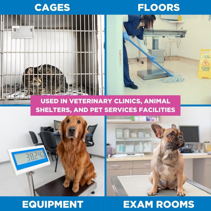 Rescue One-Step Disinfectant Cleaner & Deodorizer - For Veterinary Use  Animal Shelters  Pet Foster Homes  Kennels  Litter Box  Pet Grooming Surfaces - Sanitizing Concentrate  1 Gallon - Image 3
