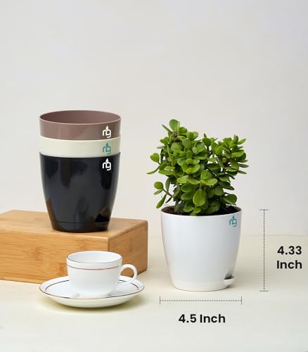 Nurturing Green® Combo of 8 Self Watering Flower Pots for Plants | Plastic Plant Pots | Planter Pots for Home, Room,Garden (Color: Ivory, Black, Mocha & White, Size: 11.5cm x 11cm Each) - Image 4