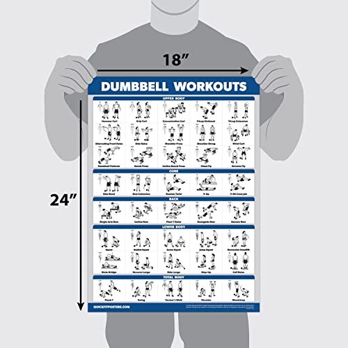 Palace Learning 3 Pack - Dumbbell Workouts + Bodyweight Exercises + Resistance Bands Poster Set - Set of 3 Workout Charts (LAMINATED, 18" x 24”) - Image 2