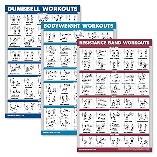 Palace Learning 3 Pack - Dumbbell Workouts + Bodyweight Exercises + Resistance Bands Poster Set - Set of 3 Workout Charts (LAMINATED, 18" x 24”) - Image 1