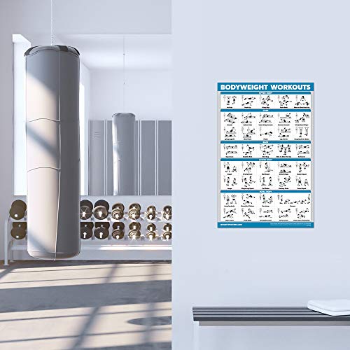 Palace Learning 3 Pack - Dumbbell Workouts + Bodyweight Exercises + Resistance Bands Poster Set - Set of 3 Workout Charts (LAMINATED, 18" x 24”) - Image 5