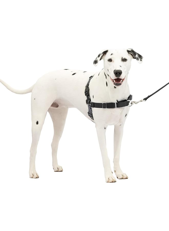 بيت سيف حزام سهل المشي للكلاب بدون سحب - مثالي للتدريب على المقود والأحزمة - يمنع الحيوانات الأليفة من السحب والاختناق أثناء المشي - متوسط وكبير باللون الأسود الفحمي - Image 1