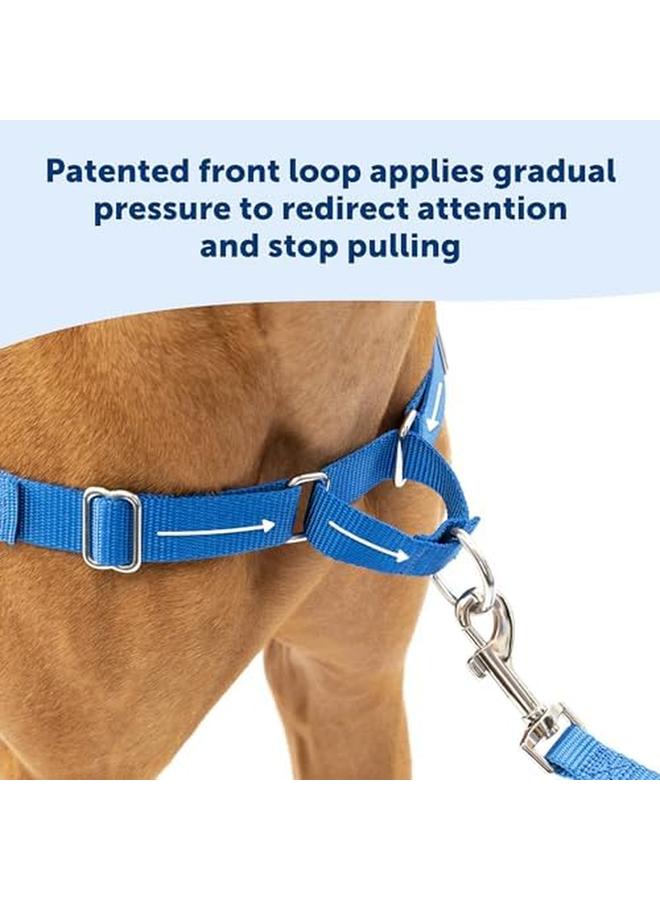 بيت سيف حزام سهل المشي للكلاب بدون سحب - مثالي للتدريب على المقود والأحزمة - يمنع الحيوانات الأليفة من السحب والاختناق أثناء المشي - متوسط وكبير باللون الأسود الفحمي - Image 3