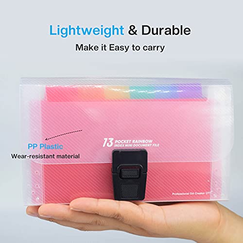 REEMTOO Accordian File Organizer, Coupon Organizer, Folder Organizer Mini Organizer Wallet for Coupons, Receipts, Cash, Tax Item or Changes,7x4.5 in 13 Pockets with Tabs Check Case(Caise) - Image 3