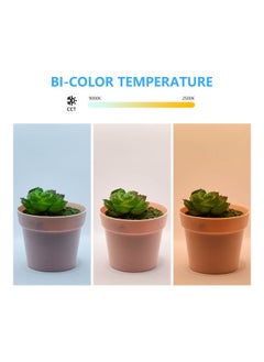 NIBEMINENT Foldable LED Light Kit With Colorful Backdrops White  - Image 4