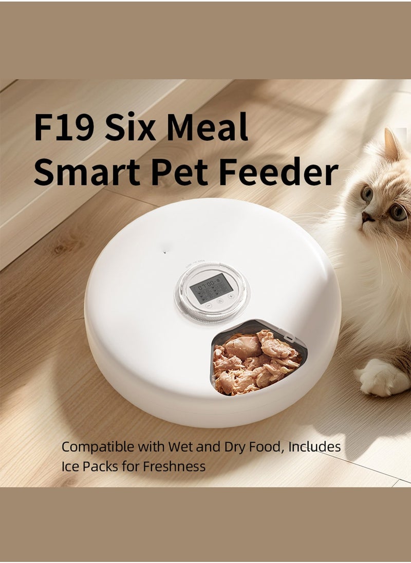 Kidle - Smart Automatic Pet Feeder 6-Grid Timed Rotating Cat And Dog Food Feeder For Wet And Dry Food Pet Food Dispenser With Timer - Image 1