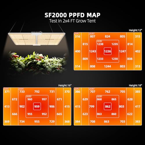 Spider Farmer SF2000 200W LED Grow Light for Indoor Plants, Upgraded High Efficiency LEDs, Dimmable Full Spectrum High PPFD, Deep Penetration for Seed Starting/Vegetables/Bloom in 2x4 Grow Tent - Image 2