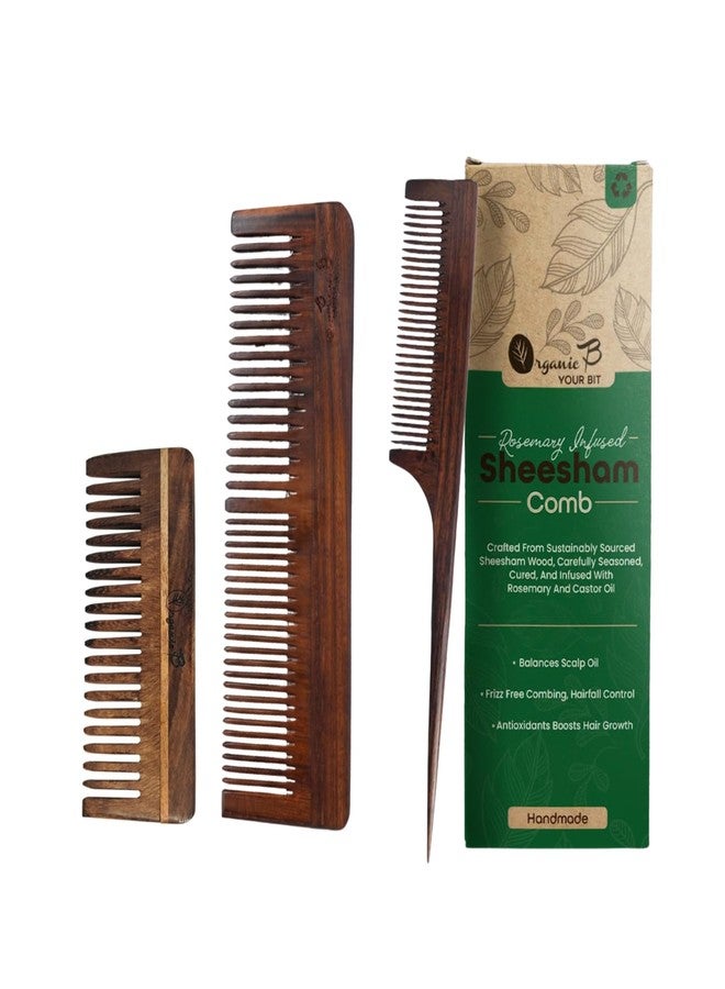 Organic B Indian Rosewood Comb Set |3 Pcs |Dual + Tail + Wide Teeth | Rosemary Infused | Handmade Comb for Men & Women | Anti-Frizz, Detangling & Gentle Scalp Care - Image 1
