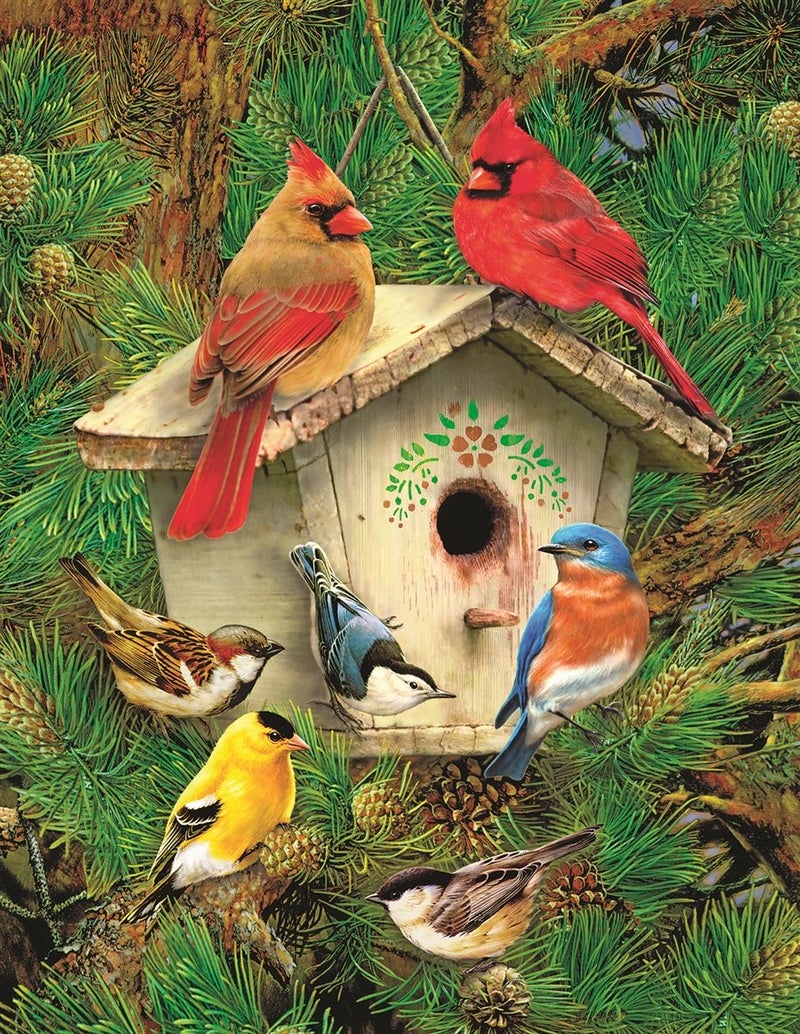 Springboks 350 Piece Jigsaw Puzzle Feathered Retreat Made in USA - Image 3