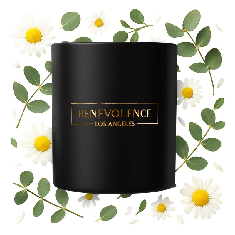 Benevolence LA Eucalyptus & Chamomile Christmas Scented Candles | Soy Candles, Black Candle for Home | Holiday Candle Gifts for Women and Men | Home Fragrance | Aromatherapy | 8oz, 45 Hour Burn - Image 1