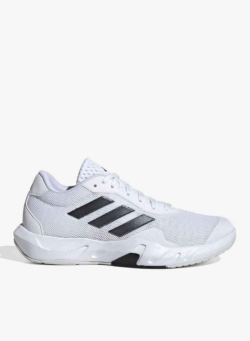 Amplimove Trainer