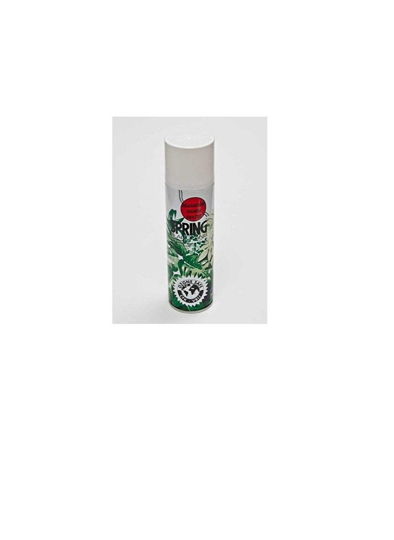 SPRING Spring Leafshine Made in Holland (250ml)  - Image 2