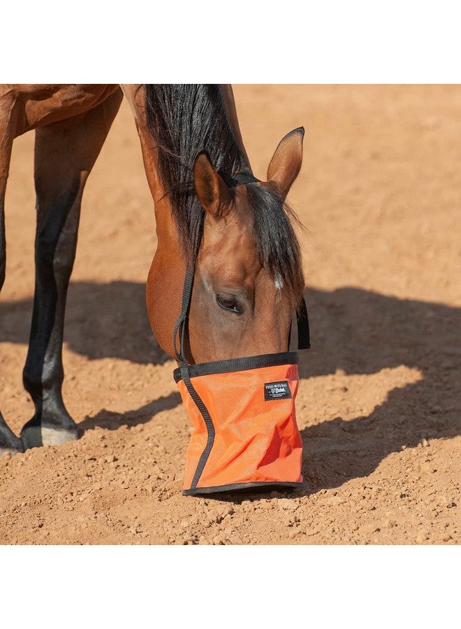 كاشيل شركة كاشيل فيد رايت باج هورس برتقالية اللون (FRB-ORA) - Image 2