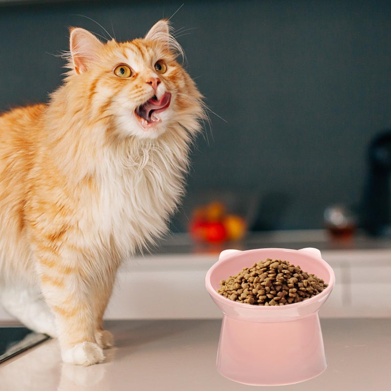 Pink Raised Slow Feed Pet Bowl With Neck Guard For Cats And Small Dogs - Image 5