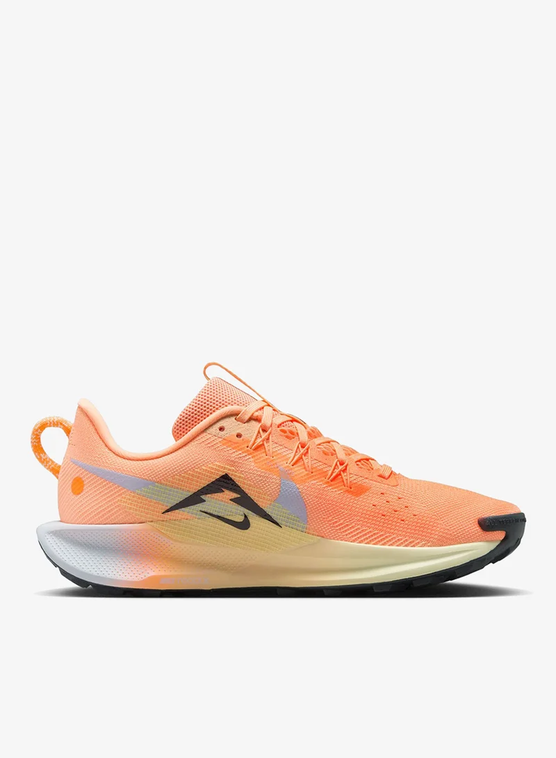 Nike Nike Pegasus Trail 5