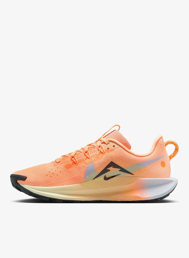 Nike Nike Pegasus Trail 5