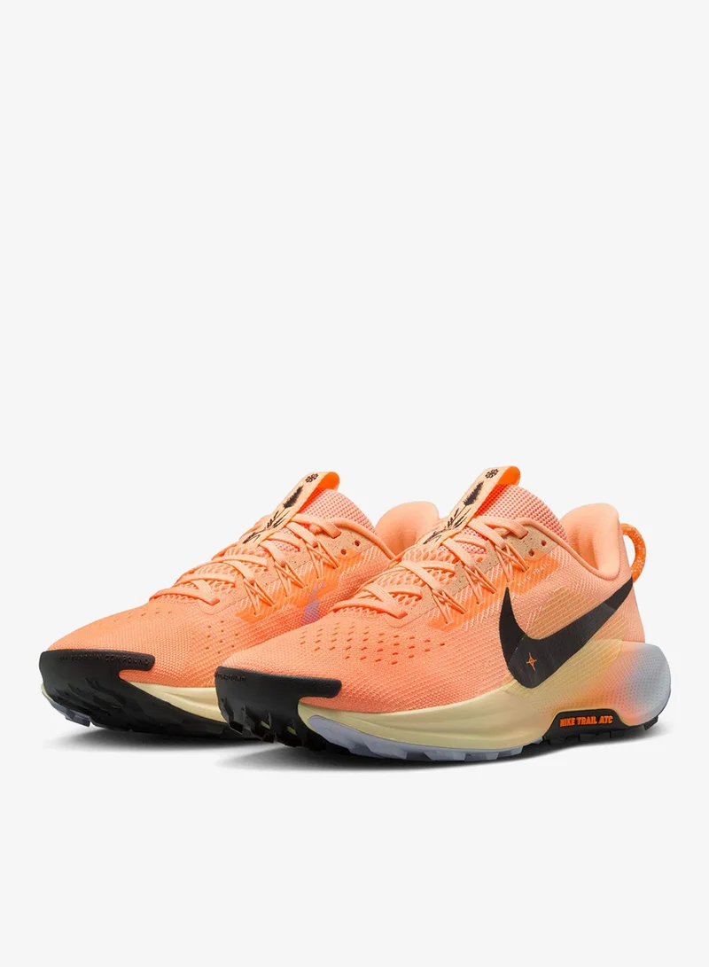Nike Nike Pegasus Trail 5