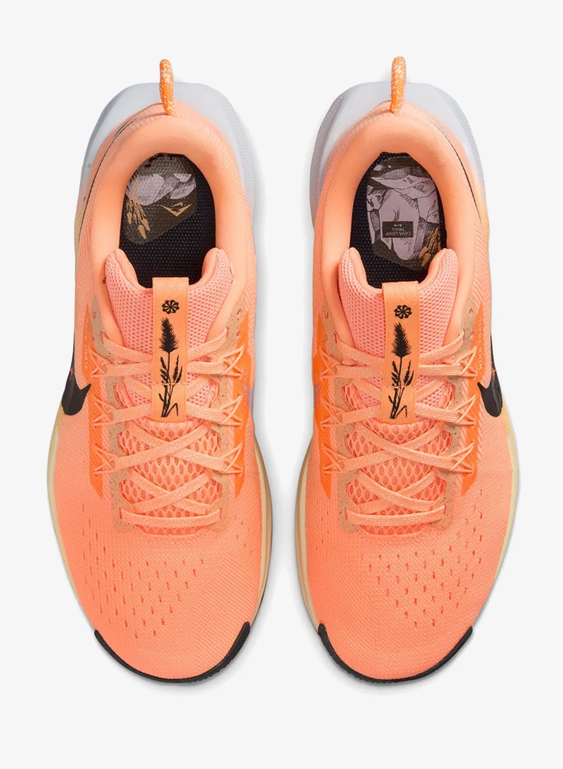 Nike Nike Pegasus Trail 5