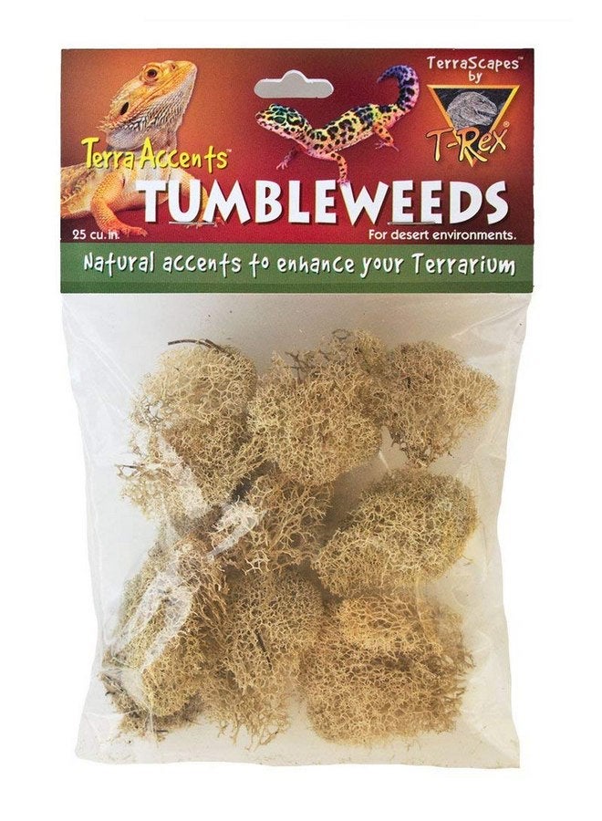 T-Rex Reptile Terrarium Décor - Terra Accents Tumbleweeds - Image 1