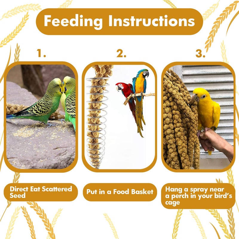 Jmxus Jmxu's 1LB Spray Millet Treat for Birds Parakeets, Natural Sun-Dried Birds Millet for Cockatiel, Budgie, Finches, Parrots, Hamster - Image 5
