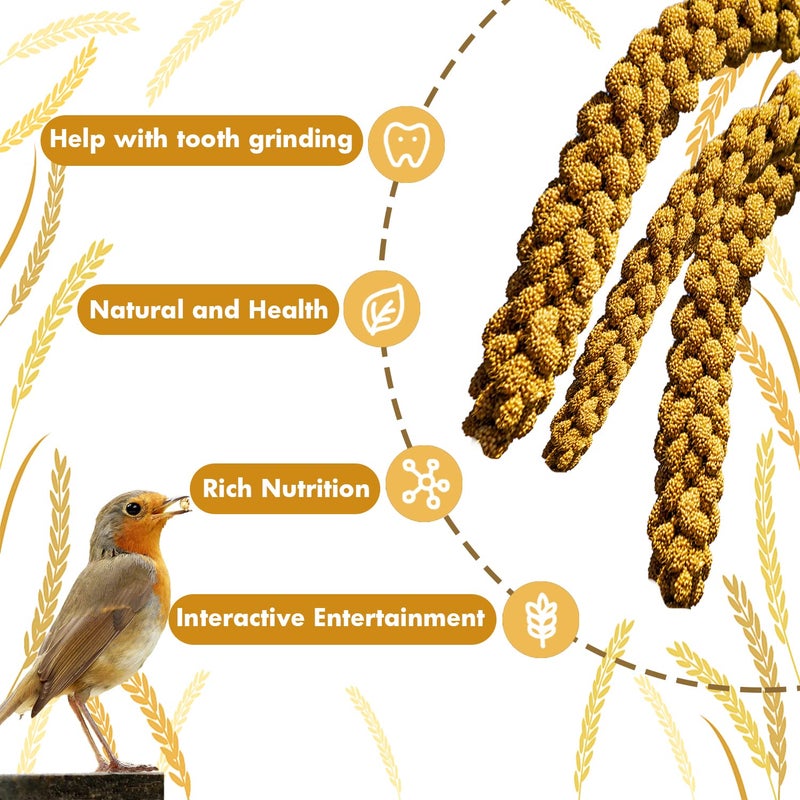 Jmxus Jmxu's 1LB Spray Millet Treat for Birds Parakeets, Natural Sun-Dried Birds Millet for Cockatiel, Budgie, Finches, Parrots, Hamster - Image 4