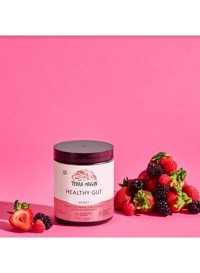 Terra Origin TERRA ORIGIN Healthy Gut Powder (Berry Flavor) |30-Servings with L-Glutamine, Zinc, Glucosamine, Slippery Elm Bark, Marshmallow Root and More! - Image 4