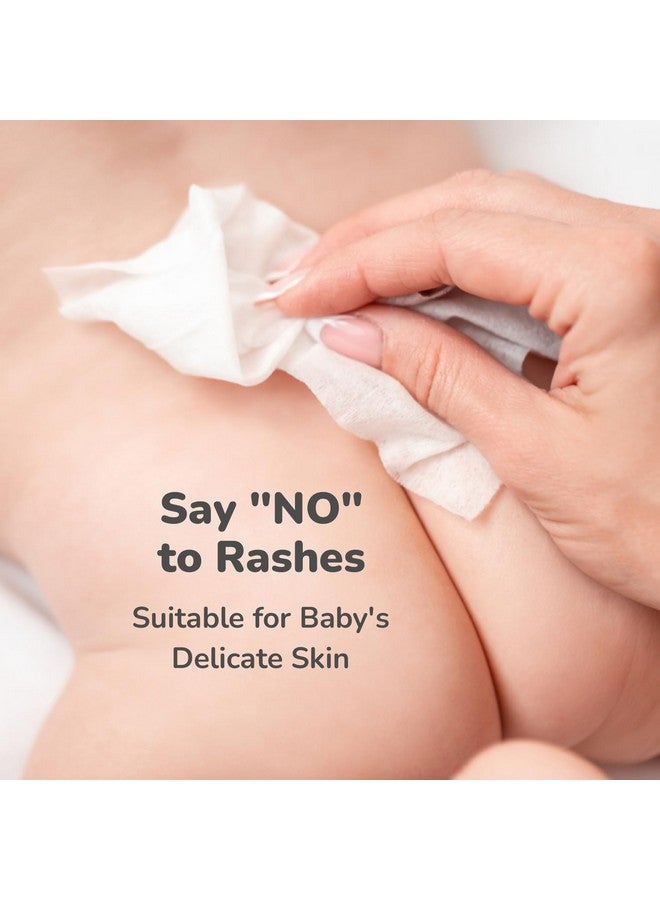 أر فور رابيت مجموعة مناديل الأطفال فيذر أكوا كومبو من 468 وحدة | مناديل مبللة نقية للأطفال مع غطاء (مجموعة من 6 عبوات) - Image 4