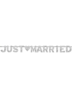 Generic Just Married Banner 18.5 X 19 