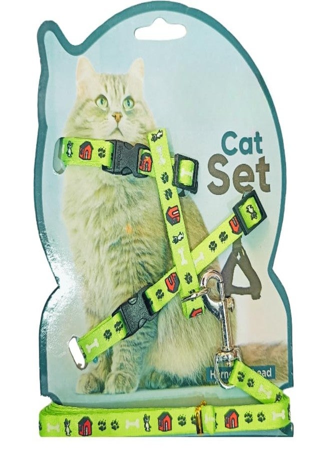 KittuPet طقم حزام ومقود للقطط من KittuPet مع شريط عاكس، حزام مانع للهروب مع مقود، حزام للقطط للاستخدام الداخلي والخارجي، حزام سهل الارتداء للقطط الصغيرة، لون أخضر - Image 1