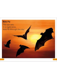 DK Super Readers Level 1 All About Bats  - Image 5