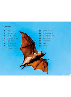 DK Super Readers Level 1 All About Bats  - Image 4