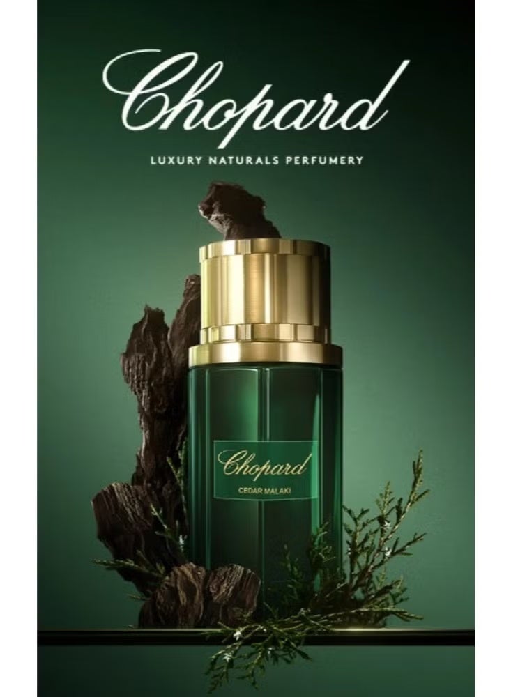 شوبارد ويش عطر سيدار بيج 80 مل - Image 1