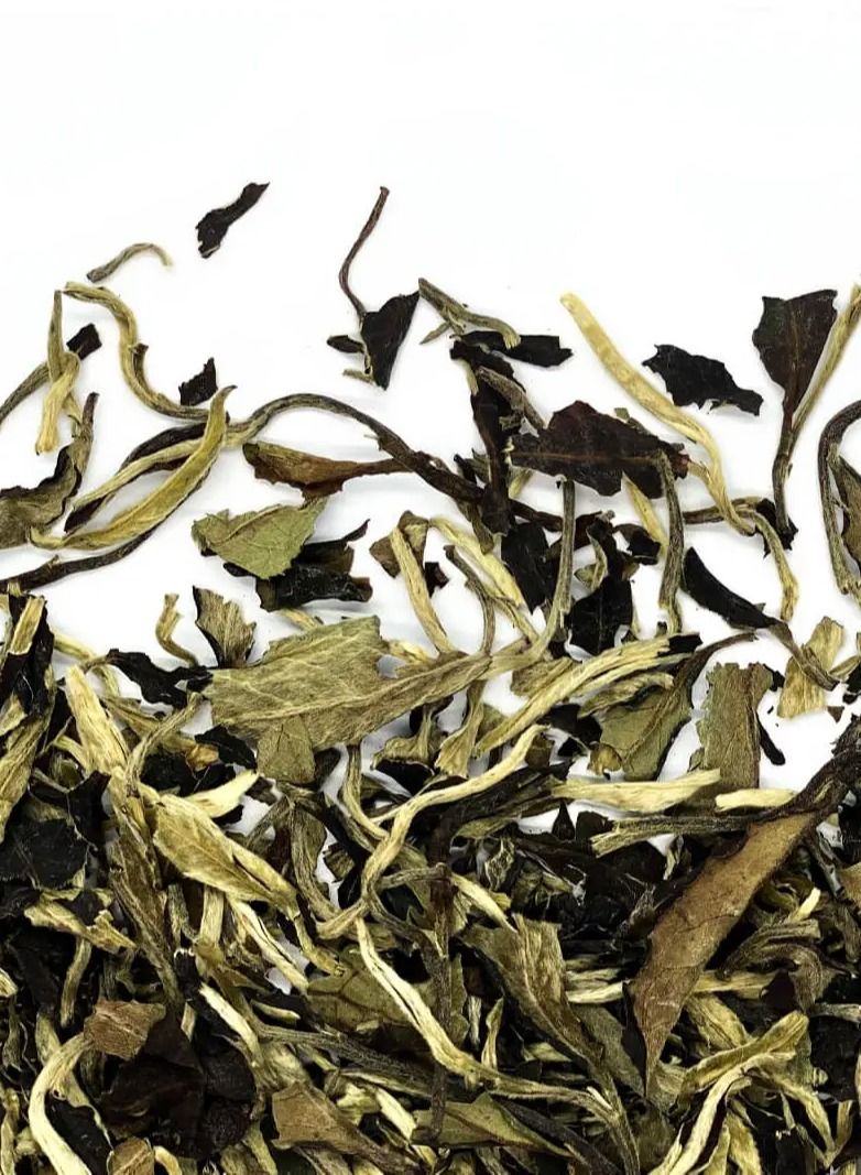 Tealand White Tea Pai Mu Dan Pure Soothing Relaxing Superior Whole Tea Buds - Image 1