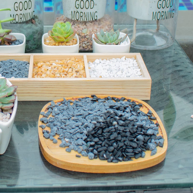 Anothera 18lb Black Cactus Pea Gravel Rocks,1/4 Inch Pebbles for Indoor Plants, Natural Succulent Rock and River Rocks Decorative for Aquariums, Vases, Outdoor Gardening, Top Dressing for Potted Plants - Image 3