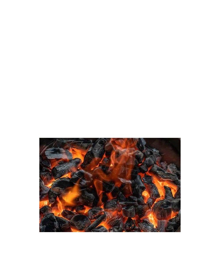 ماركة غير محددة كيس فحم خاص للشواء بوزن 9 كجم - فحم خشبي طبيعي 100% - مثالي للشواء  - Image 5