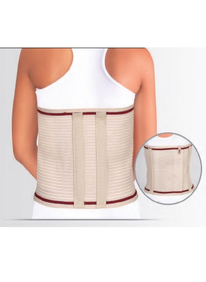 ABC orthopedic health products Supported Abdominal Corset 