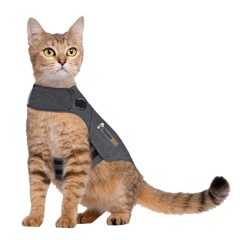 ThunderShirt For Cats, Grey, Large ( > 13 lbs) - Image 2