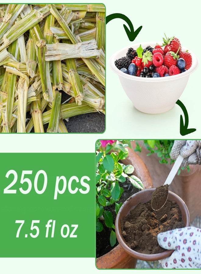 Yesland 250 Pack 8 oz Natural Biodegradable Sugarcane Bowls, White Small Disposable Paper Bowl Compostable Bagasse Soup Bowls, Microwave Chili Bowl for Salad, Dessert, Snack, Hot Soup - Image 4