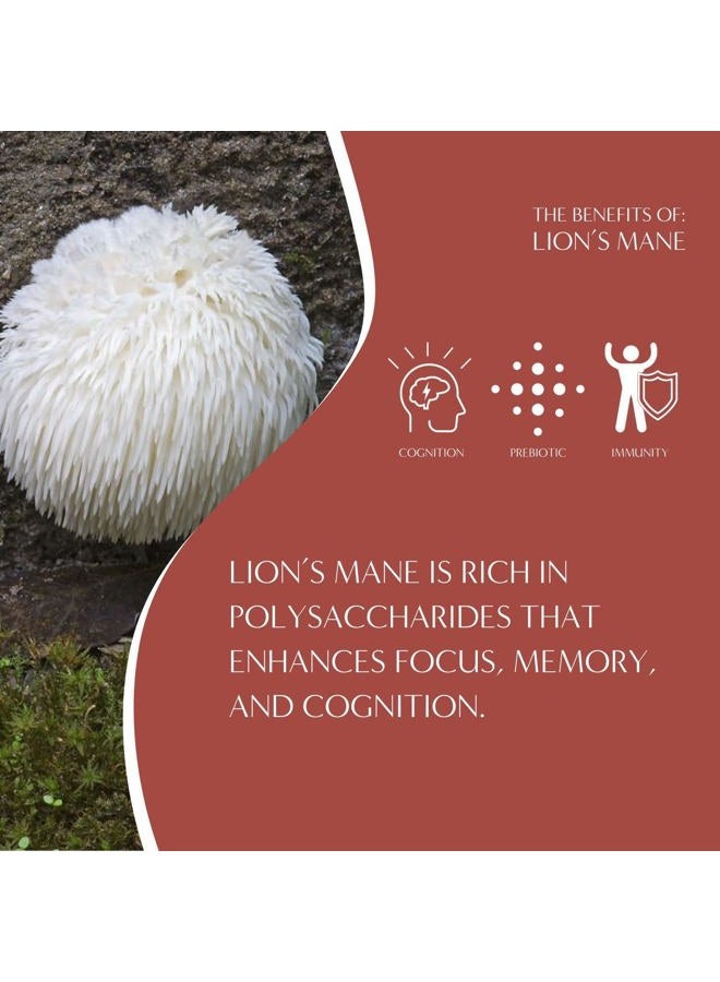teeccino Caffeine-Free Mushroom Adaptogenic Herbal Tea - Lion's Mane Rhodiola Tea - Rose, 3x More Herbs than Regular Teas, Lightly Sweet from Dates & Figs, Chicory Prebiotic - 10 Tea Bags - Image 3