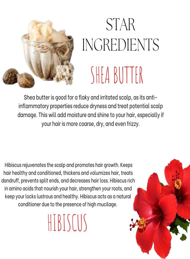 EcoBerry Sheabiscus Organic Shampoo Bar with Natural Shea Butter & Hibiscus For Frizzy Hair & Dry Scalp, Conditions & Strengthen Hair Root, Organic Ingredients, Chemical Free, Vegan 70g - Image 3