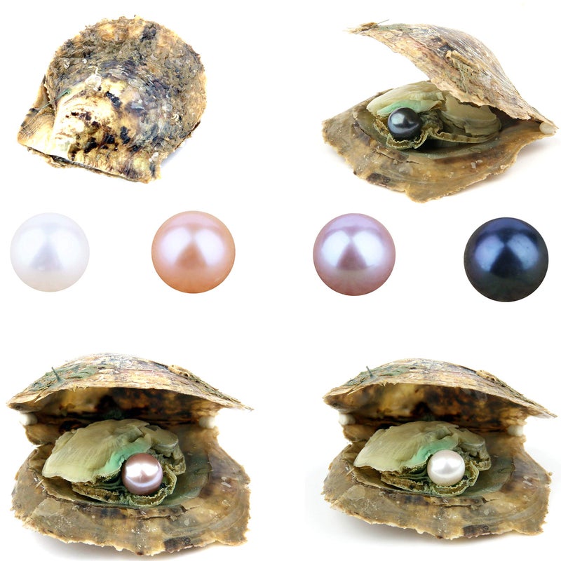 QSLLER 4PCS Saltwater Akoya Cultured Pearl Oyster with Round Pearl (6.5-7.5mm) Inside Jewelry Making or Birthday Gifts (4 Colors) - Image 1