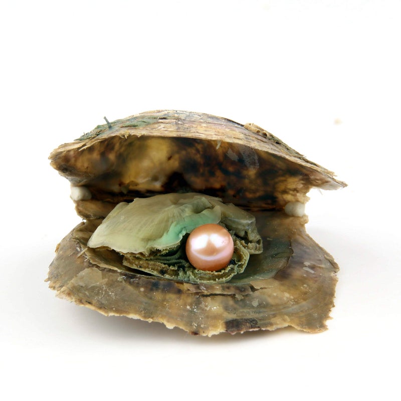 QSLLER 4PCS Saltwater Akoya Cultured Pearl Oyster with Round Pearl (6.5-7.5mm) Inside Jewelry Making or Birthday Gifts (4 Colors) - Image 5