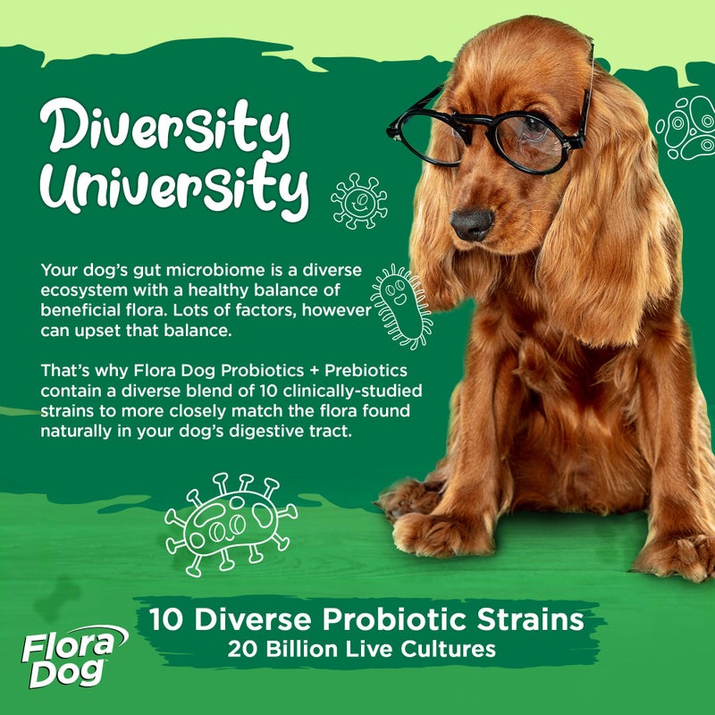 Vital Planet - Flora Dog Probiotic Powder Supplement with 20 Billion Cultures and 10 Strains, High Potency Immune and Digestive Support Probiotics for Dogs, 3.92 oz., 111 Grams, 30 Servings - Image 3
