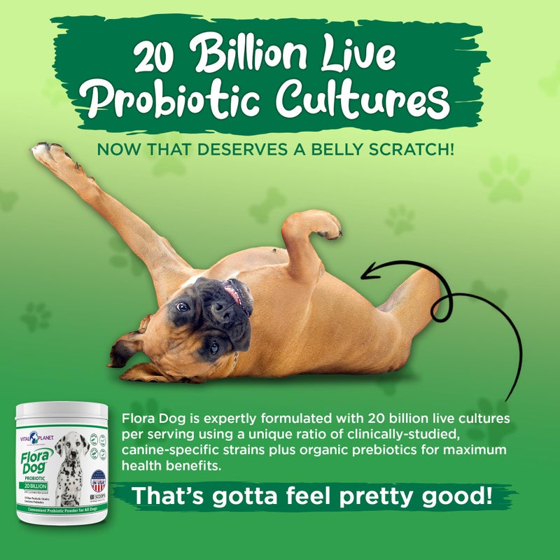 Vital Planet - Flora Dog Probiotic Powder Supplement with 20 Billion Cultures and 10 Strains, High Potency Immune and Digestive Support Probiotics for Dogs, 3.92 oz., 111 Grams, 30 Servings - Image 5