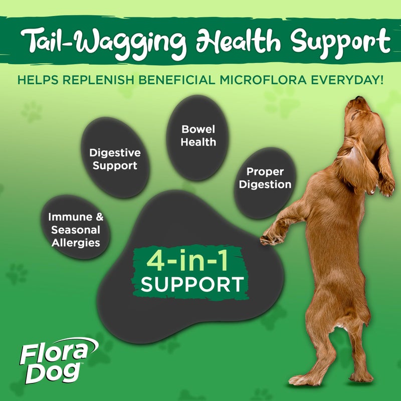 Vital Planet - Flora Dog Probiotic Powder Supplement with 20 Billion Cultures and 10 Strains, High Potency Immune and Digestive Support Probiotics for Dogs, 3.92 oz., 111 Grams, 30 Servings - Image 4